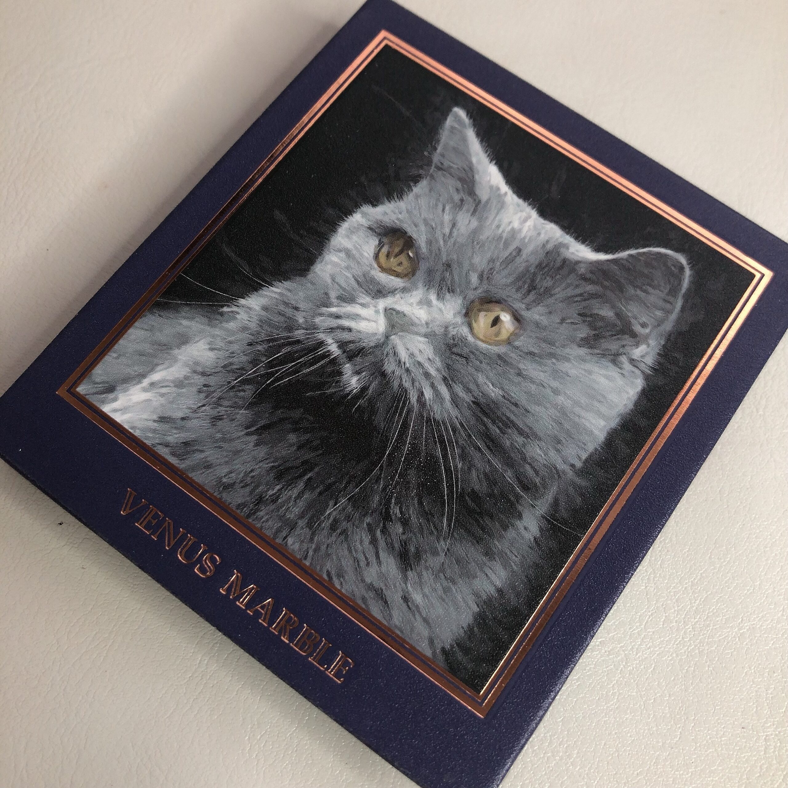 ヴィーナスマーブルの猫パレット ブリティッシュショートヘア で一重メイク これは自由帳